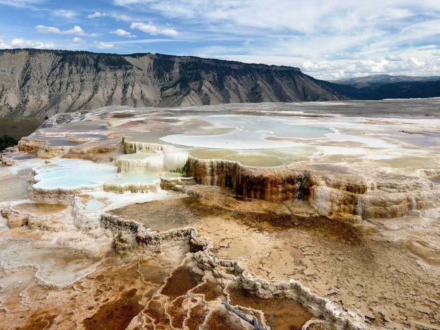Mammoth Hot Springs